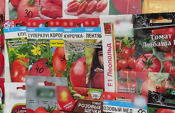 В Иванове выявили продажу 46 запрещенных сортов семян
